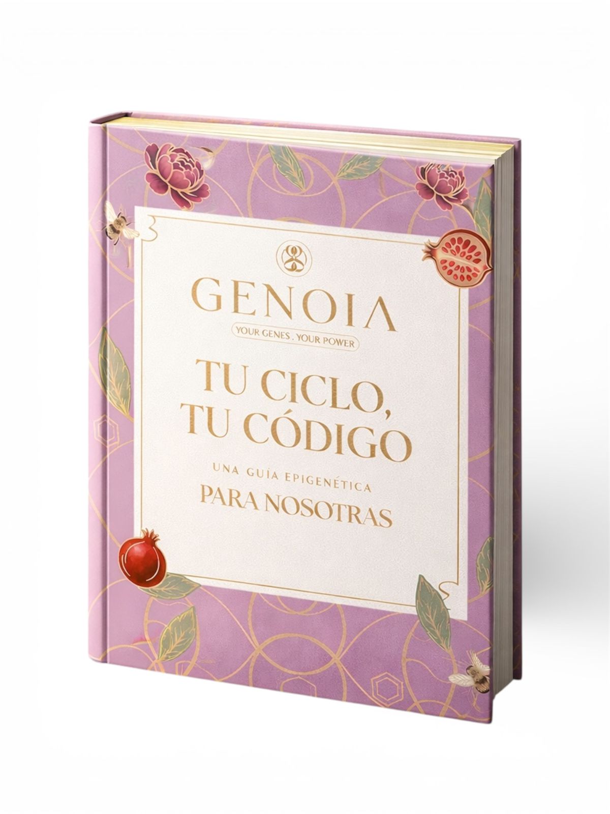 3-month pack + e-book